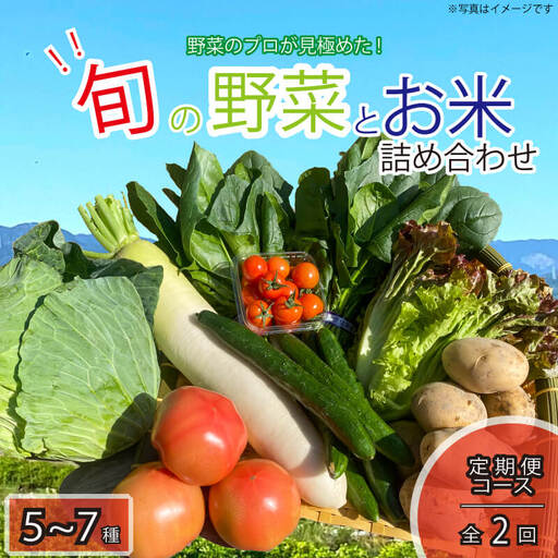 定期便 年2回 野菜 5～7品目 米 5kg 詰め合わせ セット 旬 新鮮 季節の野菜 なすび ブロッコリー キャベツ 白菜 レタス サニーレタス ほうれん草 きゅうり ピーマン とうもろこし トマト ミニトマト 大根 絹さやえんどう インゲン豆 玉ねぎ じゃがいも すだち 阿波市 徳島県