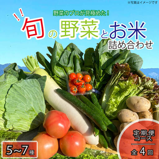 定期便 年4回 野菜 5～7品目 米 5kg 詰め合わせ セット 旬 新鮮 季節の野菜 なすび ブロッコリー キャベツ 白菜 レタス サニーレタス ほうれん草 きゅうり ピーマン とうもろこし トマト ミニトマト 大根 絹さやえんどう インゲン豆 玉ねぎ じゃがいも すだち 阿波市 徳島県