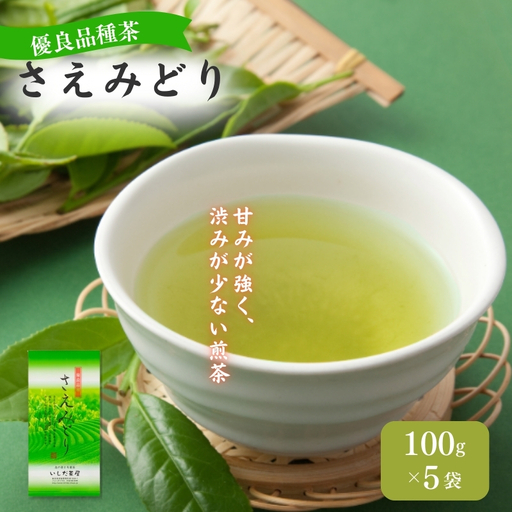 お茶 いしだ茶屋 さえみどり 100g 5袋 お茶