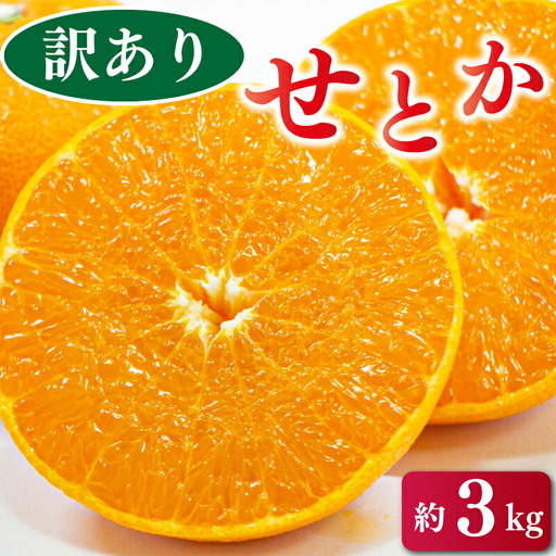 【せとか】 訳あり せとか 3kg みかん 蜜柑 せとか