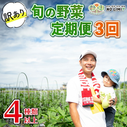 定期便 3回 訳あり 野菜 4～6種 詰合せ セット 旬野菜 やさい レタス グリーンリーフ サニーレタス ロメインレタス キャベツ 赤キャベツ 大根 ニラ スナップエンドウ さやえんどう 人参 玉ねぎ ゴーヤ オクラ 茄子 白茄子 生姜 青ネギ 農家直送 産地直送 新鮮 旬 おかず 弁当 日用 惣菜 不揃い 規格外 冷蔵 お取り寄せ 徳島県 阿波市