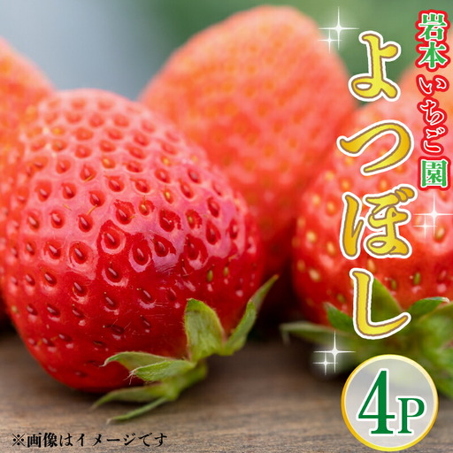 【先行予約】いちご よつぼし 約270g×4パック 約1kg以上 果物 フルーツ 土耕栽培 甘い 徳島県 阿波市 岩本いちご園