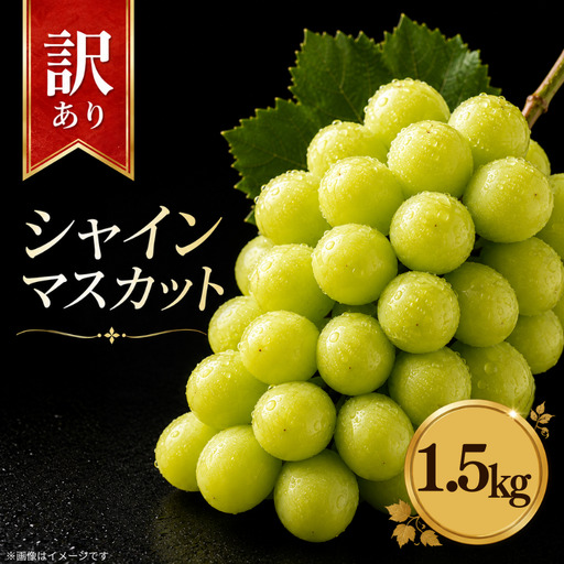訳あり シャインマスカット 約1.5kg 【 シャインマスカット 】