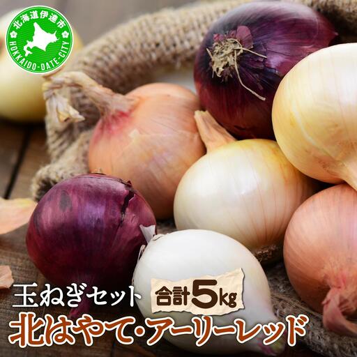 【 2026年 発送 】 先行予約 北海道 玉ねぎ 各2.5kg (計約5kg) M-L混合 北はやて アーリーレッド【55251005】