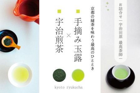 [宇治田原最高茶師]手摘み玉露と宇治煎茶のお詰合せ[お茶 煎茶 緑茶 玉露 大臣賞