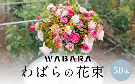 わばらの花束50本　 WABARA Rose Farm KEIJI  國枝啓司  AT-0011