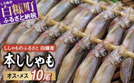 しらぬか産 本ししゃも[10尾(オスメス各5尾)]_A008