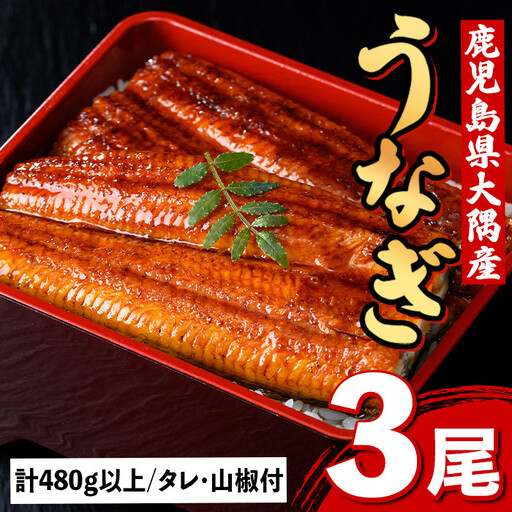 国産 鰻 蒲焼 3尾 計480g以上 うなぎ 鰻 有頭【一般社団法人きもつき宇宙協議会】B57002