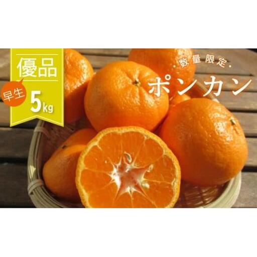 ぽんかん 優品 5kg 早期受付開始 2027年１月中旬