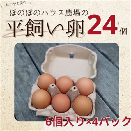 【朝採り】季節の平飼い卵有精卵6個入り×4パック_卵・乳製品 卵  たまご タマゴ 玉子_【配送不可地域：離島】【1487838】