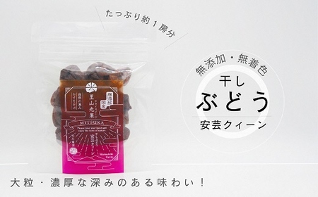 安芸クィーン干しぶどう