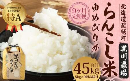 【9ヶ月定期便】 らんこし米 ゆめぴりか 5kg 合計 45kg （黒川農場）【2024年10月下旬発送開始】 お米 米 コメ 白米 精米 ご飯 北海道 蘭越町