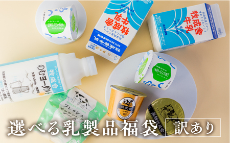 福袋お楽しみ乳製品セット [ヨーグルト&チーズ]