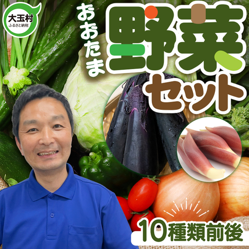 野菜セット 10種類前後 野菜