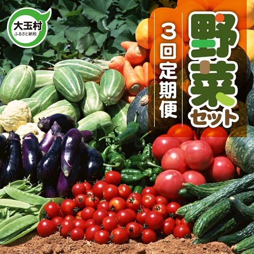 [3回定期便]野菜定期便 野菜セット 3ヶ月 3回 (毎回10種類前後発送)