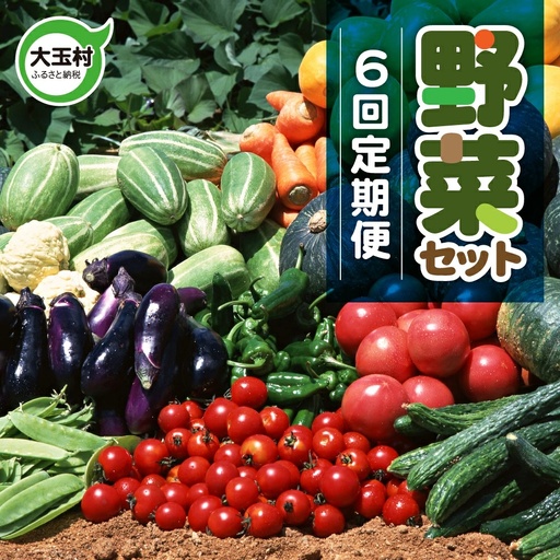 野菜セット 10種類前後[先行予約] 野菜