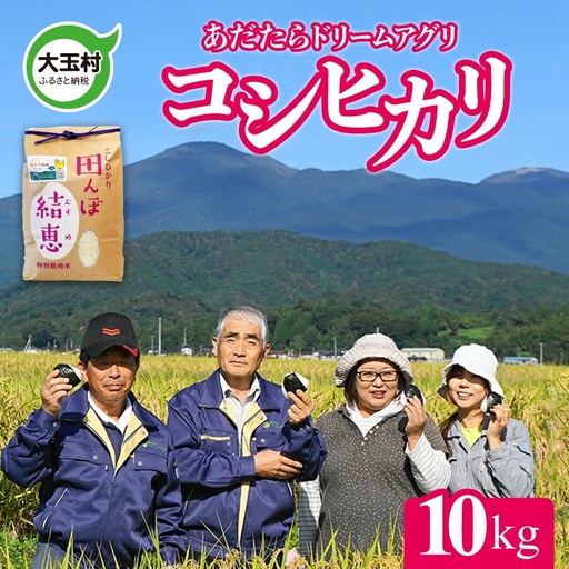 特別栽培米 10kg 白米 コシヒカリ 特別栽培米 精米
