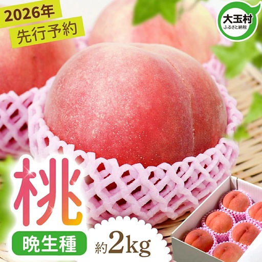 桃2kg 夏の味覚 令和8年度産桃