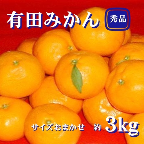 紀州有田みかん 秀品 3kg(L・M・Sサイズおまかせ) ※2026年11月下旬より順次発送予定[sml128A]