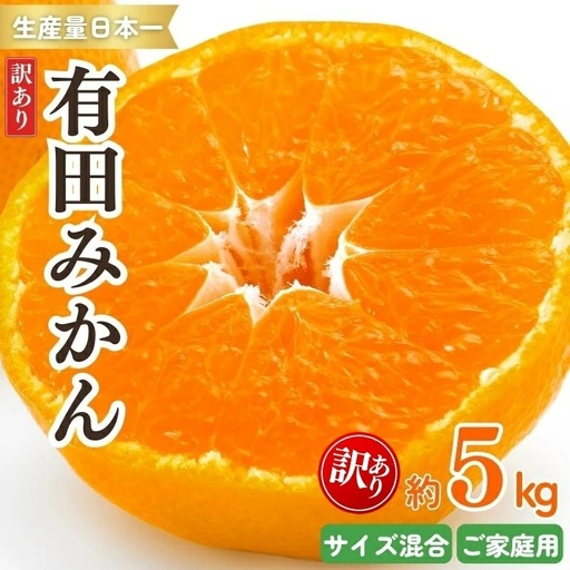 紀州有田みかん 訳あり 約5kg キズ ご家庭用 サイズ混合 ※2026年11月下旬より順次発送予定 ※北海道・沖縄・離島配送不可[sml130A]
