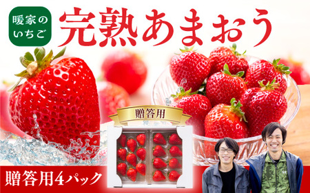 暖家のいちご　完熟あまおう　贈答用4パック【2月中旬以降順次発送】AB002