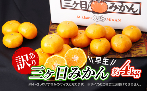 訳あり 三ヶ日みかん 早生 4kg 蜜柑 ミカン 果物 くだもの フルーツ 浜松