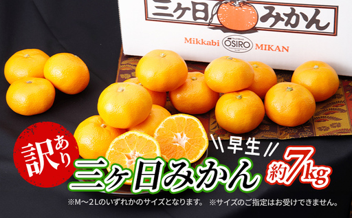 みかん 三ヶ日みかん 早生 7kg 訳あり みかん