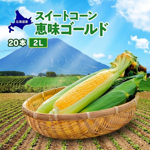 とうもろこし めぐみゴールド 20本 2L とうもろこし
