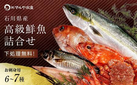 旬の鮮魚詰合せ 6～7種 下処理済み 旬 獲れたて 鮮魚 刺身用 詰合せ セット 海産物 海の幸 魚 魚介 おかず おつまみ 肴 国産 食品 復興 震災 コロナ 能登半島地震復興支援 北陸新幹線 F6P-0564