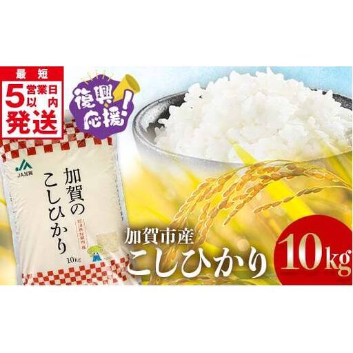 令和8年産こしひかり10kg 5kg×2袋 銘柄米 米 F6P-3424