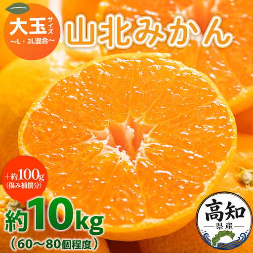 フルーツ 山北みかん 大玉サイズ(L,2Lサイズ) 10kg 約60～80個入り フルーツ yk-0065