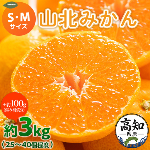 【柑橘】山北みかん 3kg 秀品 柑橘 yk-0080