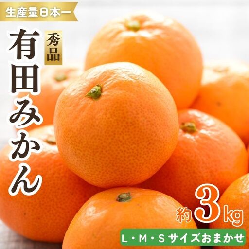紀州有田みかん 秀品 ３kg（L・M・Sサイズおまかせ）　※2026年11月下旬より順次発送予定【sml128A】