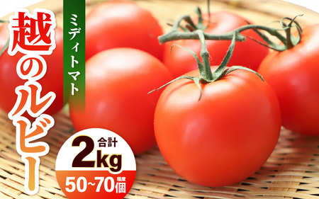 越のルビー（ミディトマト）中玉トマト 約2kg 2027年6月上旬以降発送 [A-19208]