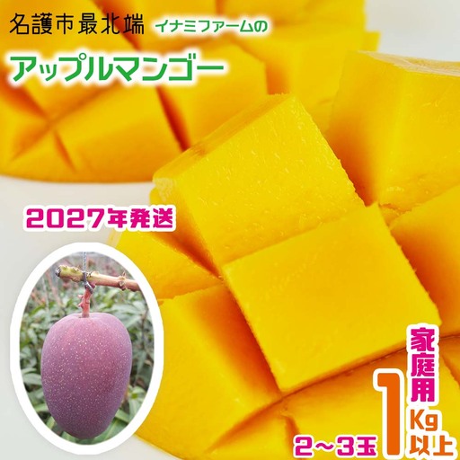 【2027年発送】名護市最北端イナミファームの家庭で楽しむアップルマンゴー 1kg以上（2～3玉）