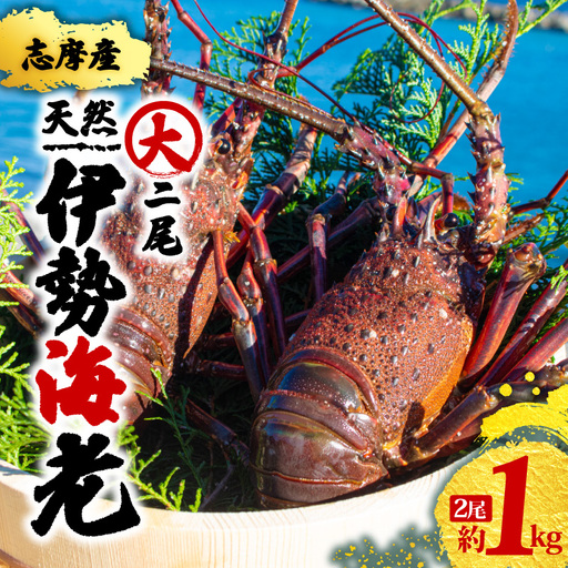 【先行予約】伊勢海老  伊勢海老 大 2尾 1kg