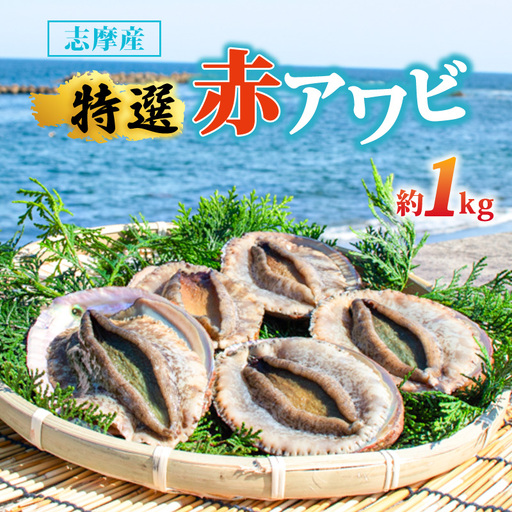 【期間限定】志摩市産天然アワビ（赤） 1kg 冷蔵 新鮮