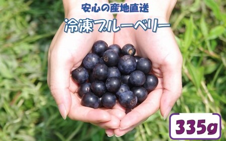 冷凍ブルーベリー 335g ブルーベリー ぶるーべりー フルーツ 果物 果実 産地直送 ZS-528