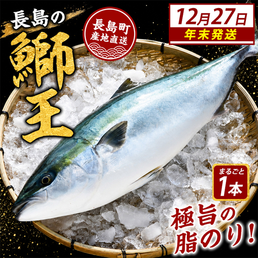 ＼年末発送 先行予約／【12月27日発送】鰤王ラウンド（約3.5㎏～）テレビで紹介ぶりの王様「 鰤王 」 まるごと 1本 ラウンド 先行予約 産地直送 長島町 特産品 ブランド 鰤 冷蔵 ふるさと納税 ぶり 刺身 ぶりしゃぶ ぶり大根 海鮮丼 年末年始発送 【JFA】jfa-7115-27