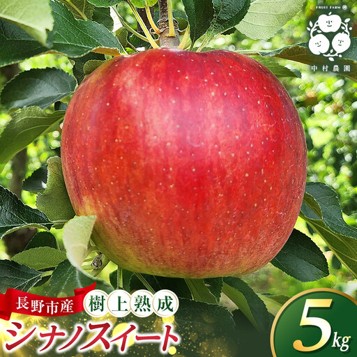 フルーツファーム中村農園　【10月中旬発送 先行予約】樹上熟成　シナノスイート 5kg | りんご シナノスイート りんご