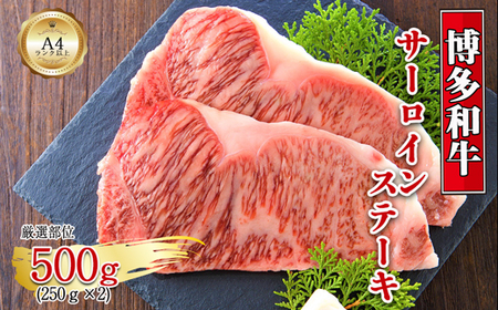 博多和牛サーロインステーキセット　500ｇ（250ｇ×2枚）[H0128]