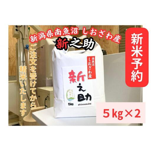 【令和8年産・新米予約】新潟県南魚沼産　新之助　10kg　大粒でツヤがあるこれまでにないお米【銘柄米 ブランド米 精米 新之助 魚沼産 新潟米 産地直送 お米 米 こめ コメ】【2026年10月中旬より1ヶ月以内に順次発送予定】