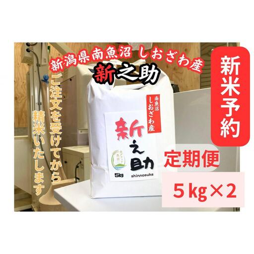 【令和8年産・新米予約・定期便】新潟県南魚沼産　新之助　10kg×３か月　大粒でツヤがあるこれまでにないお米【定期便 銘柄米 ブランド米 精米 新之助 魚沼産 新潟米】【2026年10月中旬より1ヶ月以内に順次発送予定】
