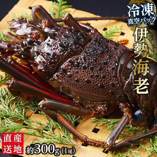冷凍 伊勢海老1尾 約300ｇ 伊勢海老