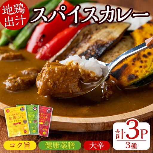 大分地鶏豊のしゃも地鶏出汁スパイスカレー3種セット(合計540g・180g×3パック)レトルト 簡単調理 ご当地カレー【112400202】【天峯ファーム】