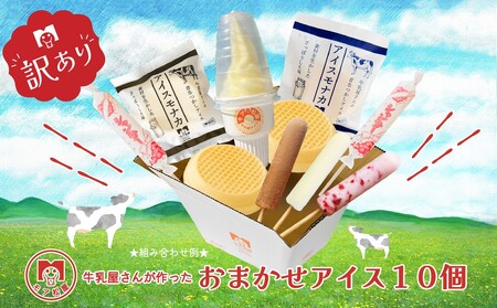 [毎月数量限定]訳あり アイス おまかせ 10個 詰め合わせセット アイス