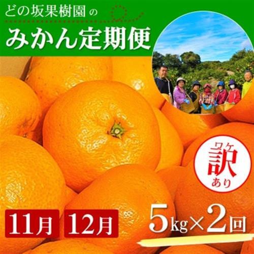 [発送月固定定期便]ご家庭用 2種のみかん定期便 (ゆら早生みかん・完熟みかん)各約5kg全2回[配送不可地域:離島・北海道・沖縄県]