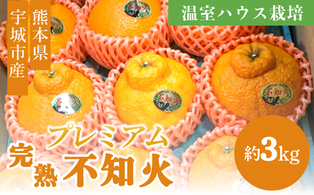 先行予約 不知火 温室ハウス栽培 プレミアム完熟不知火 約3kg 髙橋果樹園 [2026年12月上旬から2027年1月下旬発送予定]