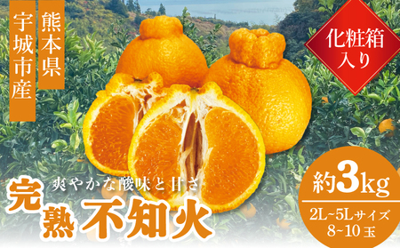 先行予約 宇城市産 完熟不知火 化粧箱入り 約3kg (8~10玉)【2027年2月上旬～3月下旬頃順次発送予定】高橋果樹園