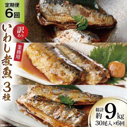 6回 定期便 訳あり 業務用 いわし煮魚 3種 ×10尾 計30尾入 約1.5kg ×6回 総重量 約9kg 